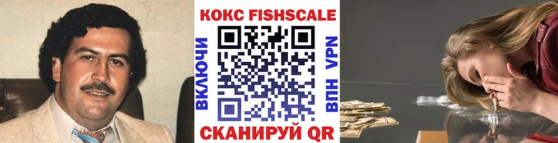 это наркотические препараты  Новая Усмань  COCAIN FishScale 