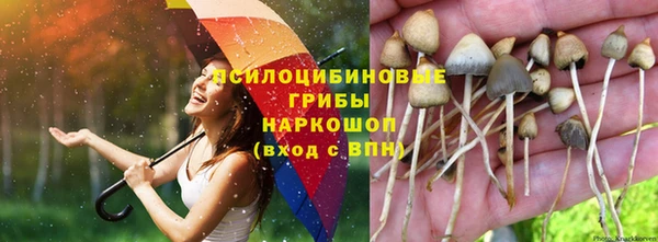 таблы Инта