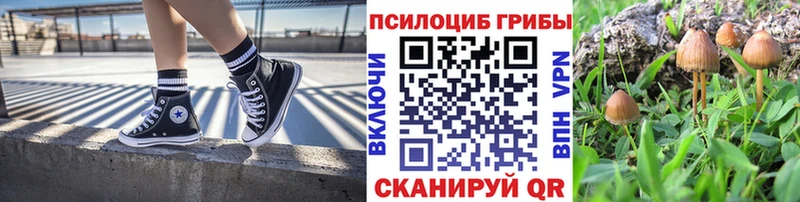 Галлюциногенные грибы MAGIC MUSHROOMS  Новая Усмань 
